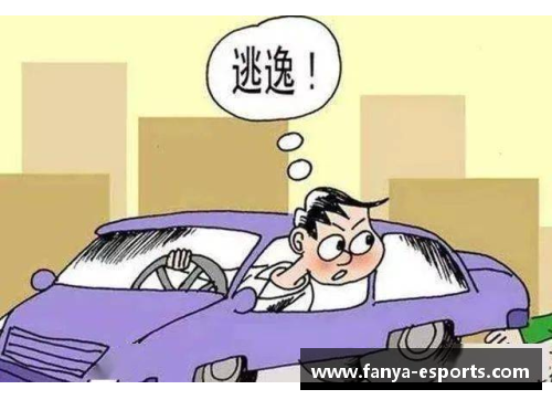 球员肇事逃逸：体育界的道德边界与法律责任