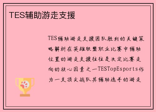 TES辅助游走支援
