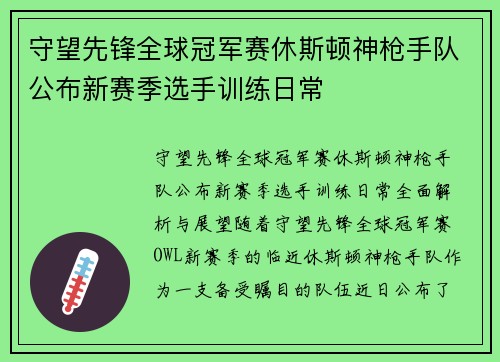 守望先锋全球冠军赛休斯顿神枪手队公布新赛季选手训练日常