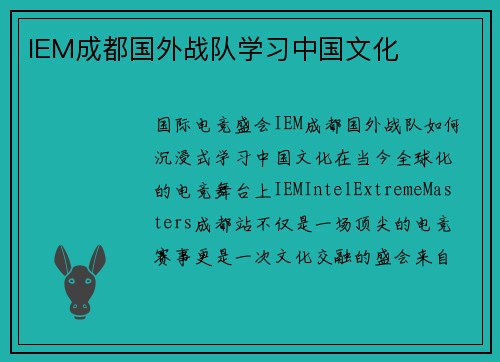 IEM成都国外战队学习中国文化