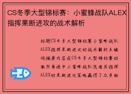 CS冬季大型锦标赛：小蜜蜂战队ALEX指挥果断进攻的战术解析